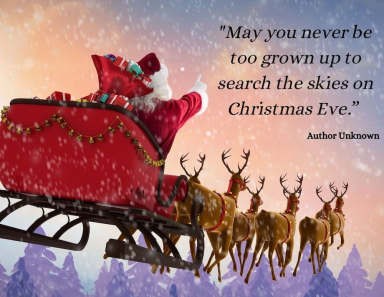 Christmas Cards The Christmas Joy