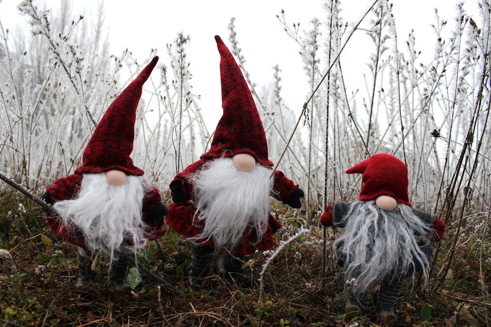 Three gnomes with red hats standing in a field