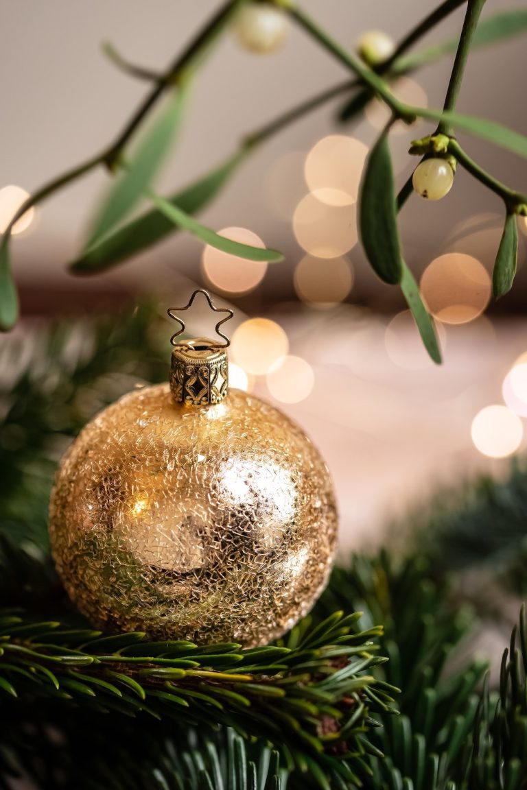 Mistletoe: Origins and Traditions - The Christmas Joy