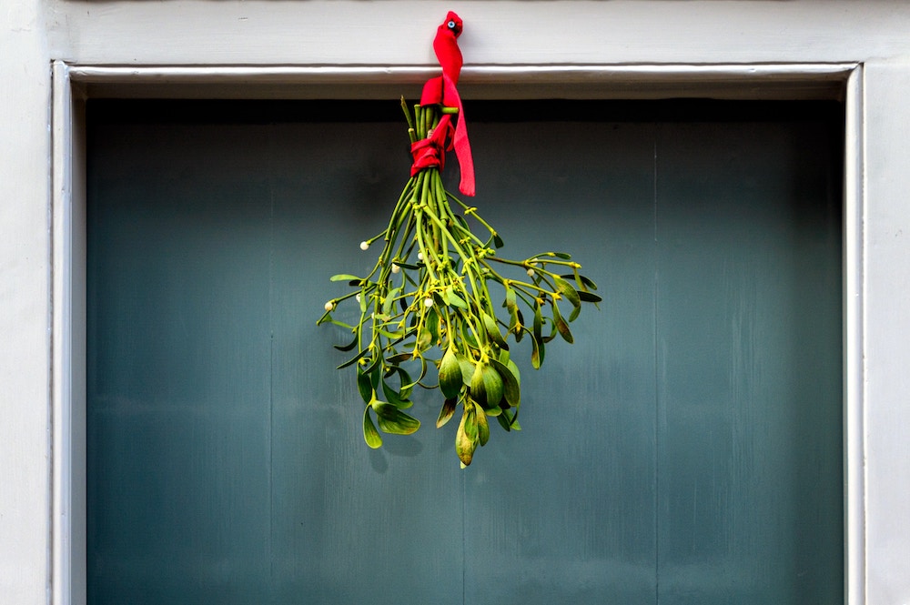 Sprigs of mistletoe hanging in doorway with red ribbon
