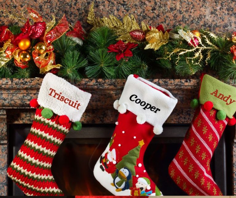 Stocking Stuffers For Pets