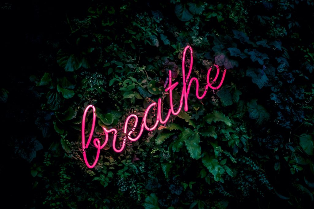 Green foilage with word Breathe in pink cursive writing. How managing stress during the holidays with breathing.