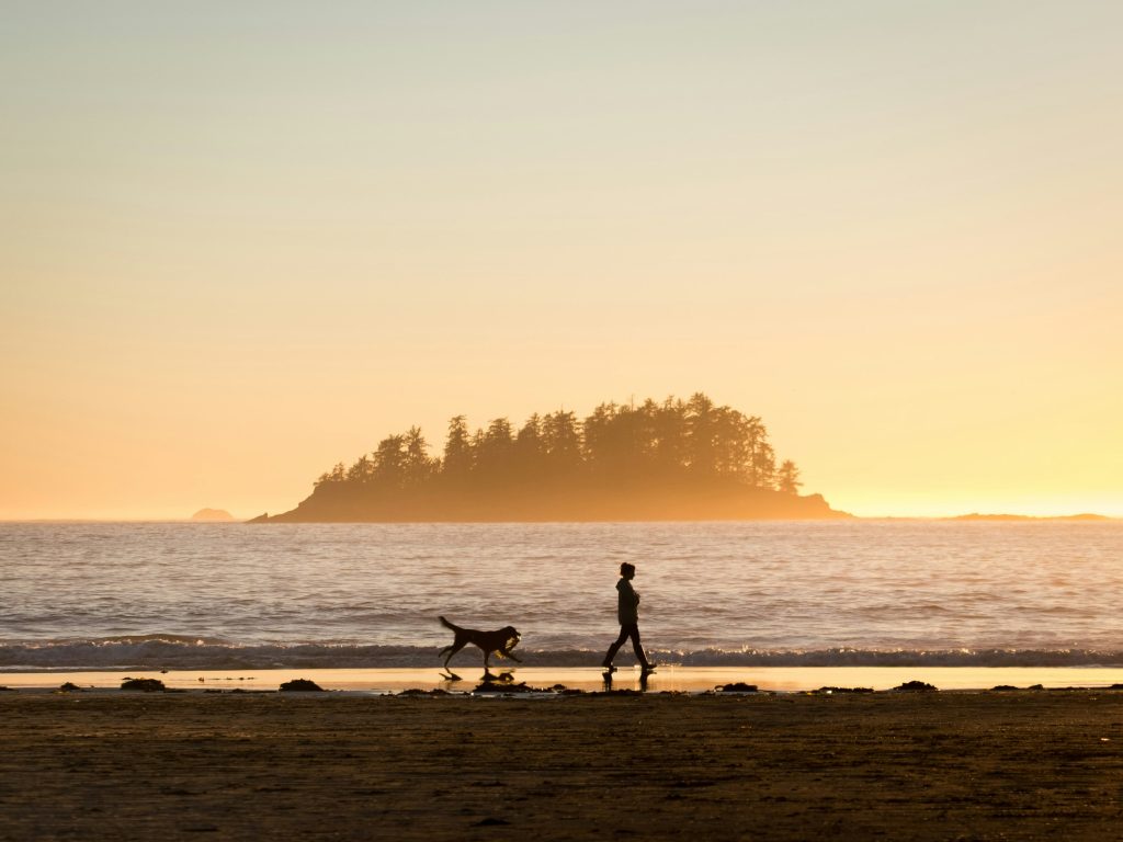 Woman and dog walking on shore.