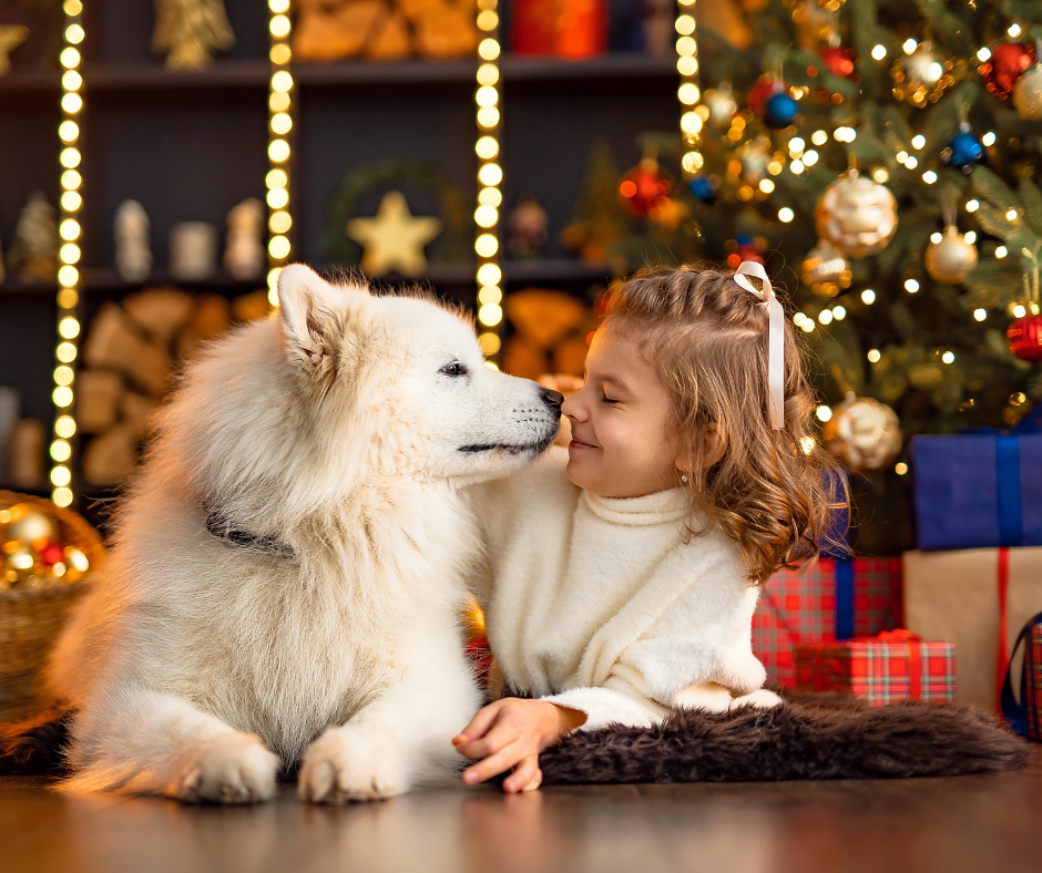 Dog facing child to show holiday safety tips for pets and kids