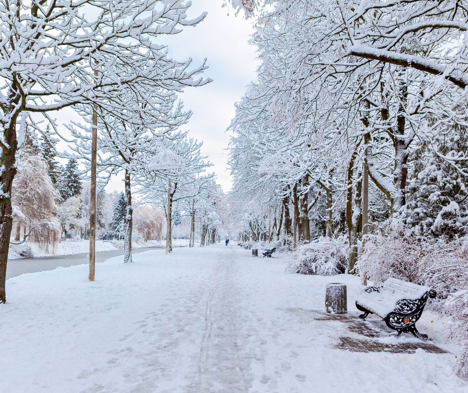 Winter picture of outdoors to show that getting outside is good for the in between Christmas and New Year's time. 