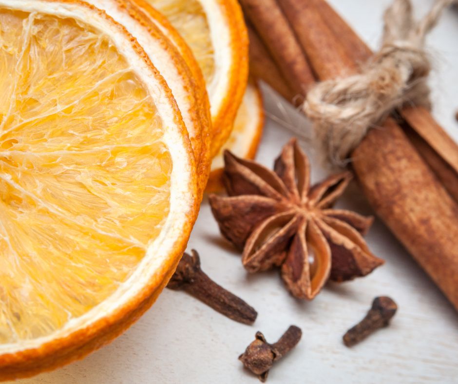 Orange slices and cinnamon stick, ingredients for Christmas Simmer Pot